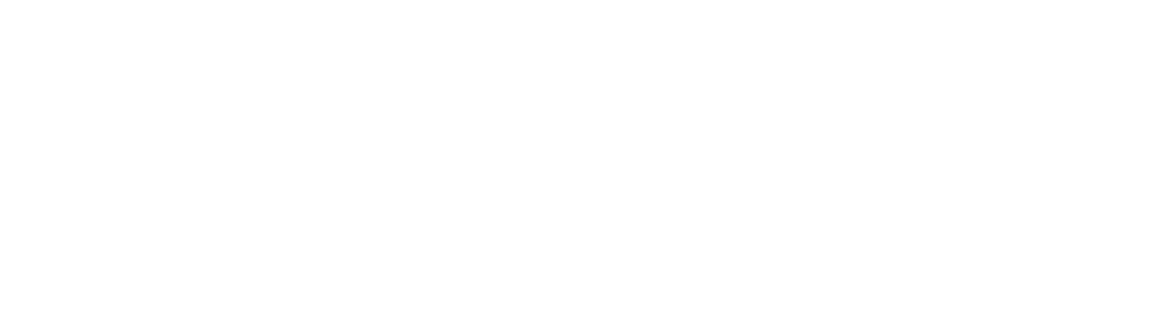 Bogenschutz and Gardiner, PLLC